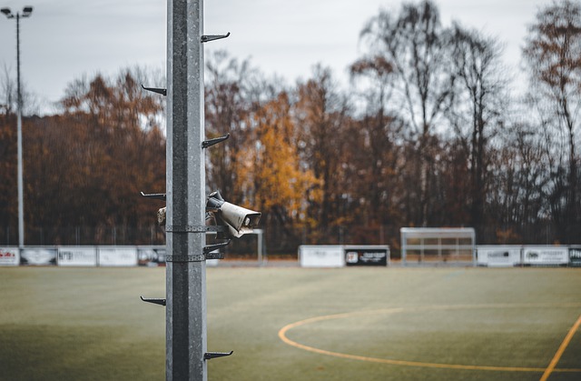 愈加丰富 愈加丰富