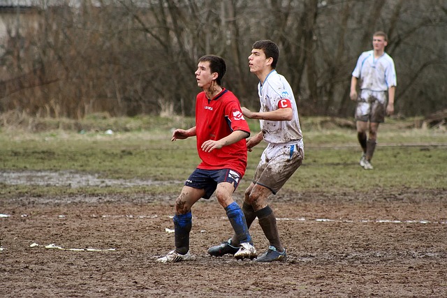 但在深圳新 但在深圳新