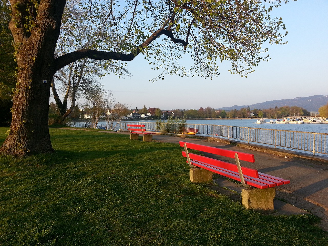 选手提供借 选手提供借